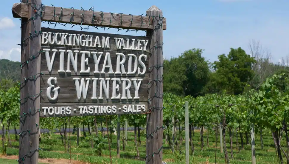 Buckingham Valley Vineyards and Winery sign.