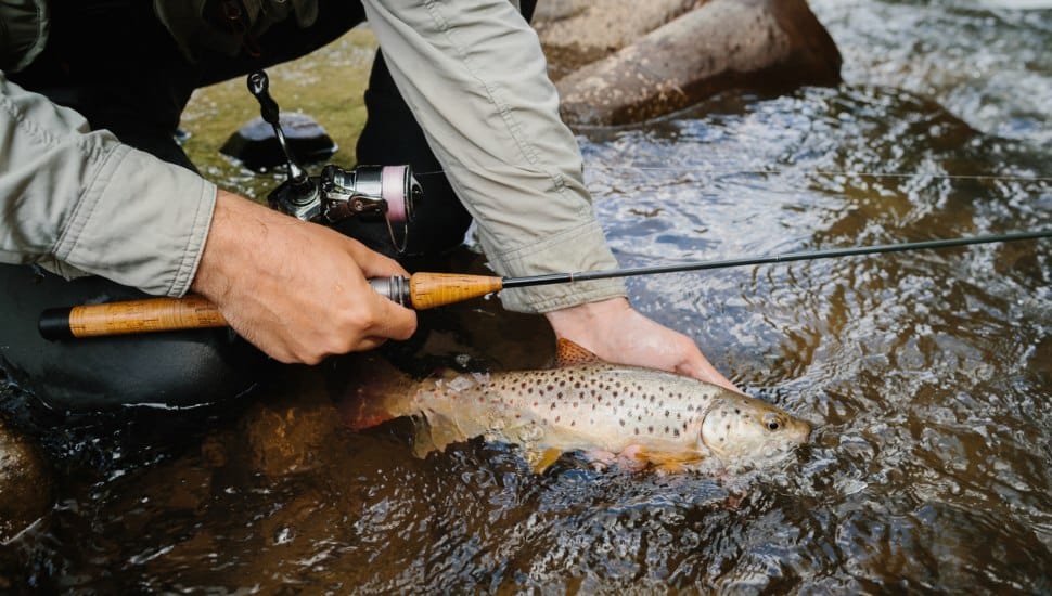 Man releasing trout into river.