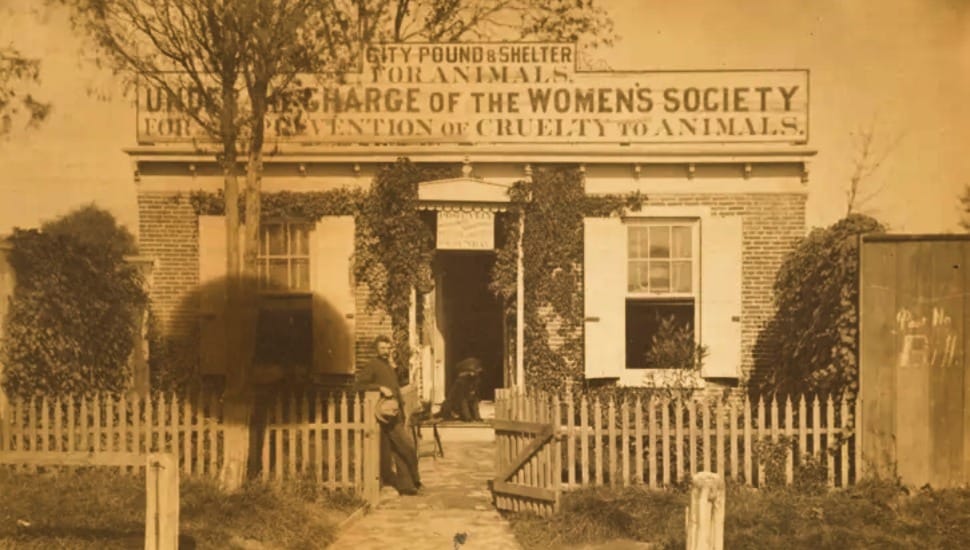 The Women's Animal Center in Bensalem, the first animal shelter in the nation.