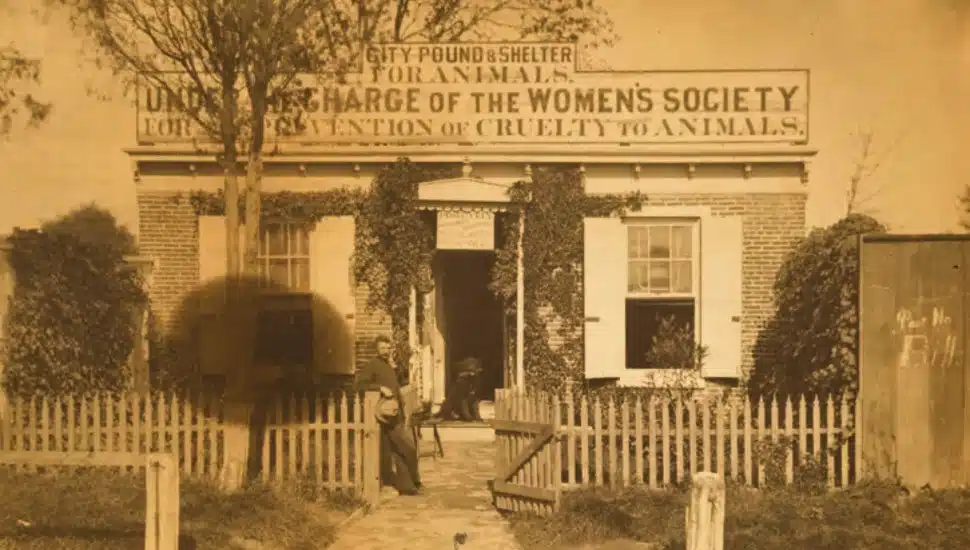 The Women's Animal Center in Bensalem, the first animal shelter in the nation.