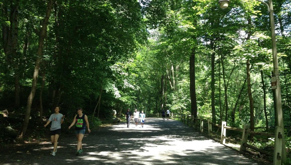 People walking near Wissahickon Valley Park.