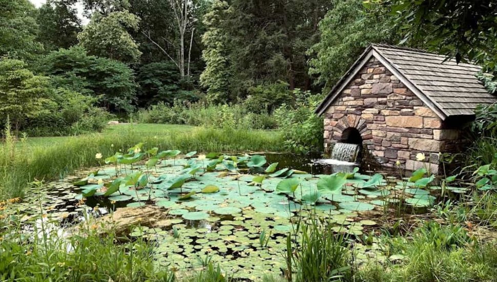 pond with lily pads next to stone structure.