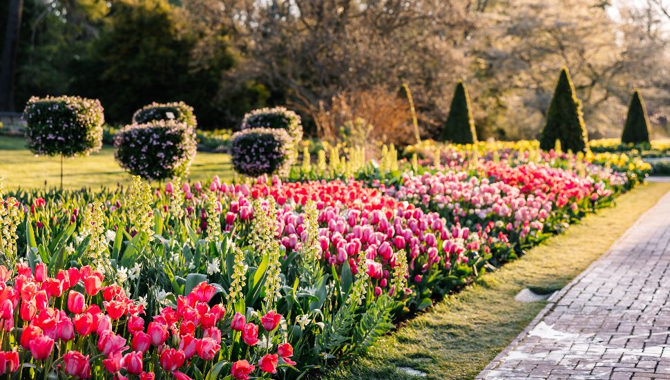 Spring blooms at Longwood Gardens.