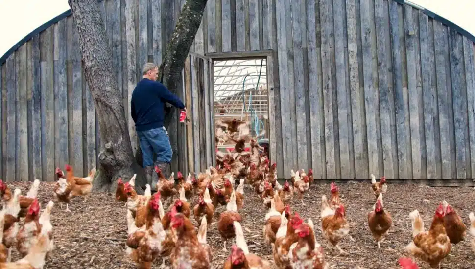 Warminster Food Bank and Jamison Farm Find Clever Way to Fight Hunger