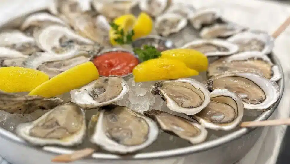 Newtown Seafood Restaurant Kicks Off the Start of Spring with a New Patio