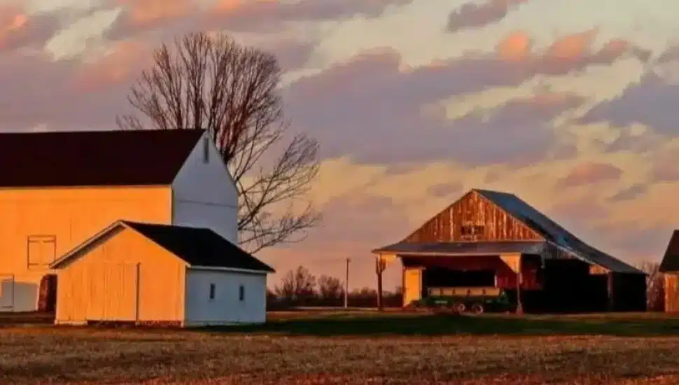 Patterson Farm at sunset.