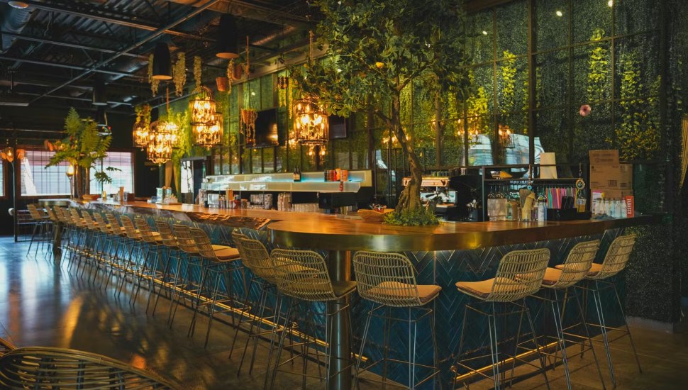 The bar at The Cage.