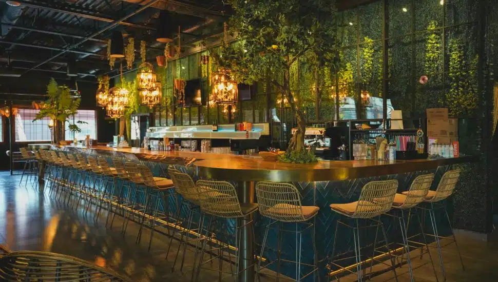 The bar at The Cage.