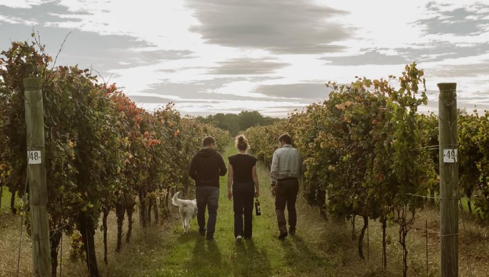The Proximity Wine Bar team at a vineyard.