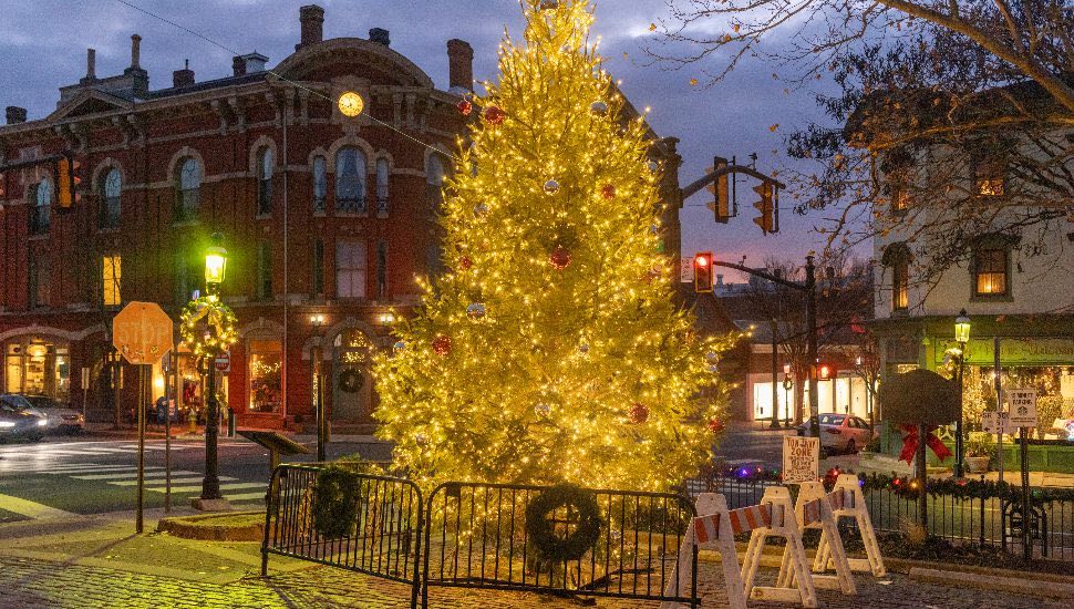 A lit Christmas tree in Doylestown.