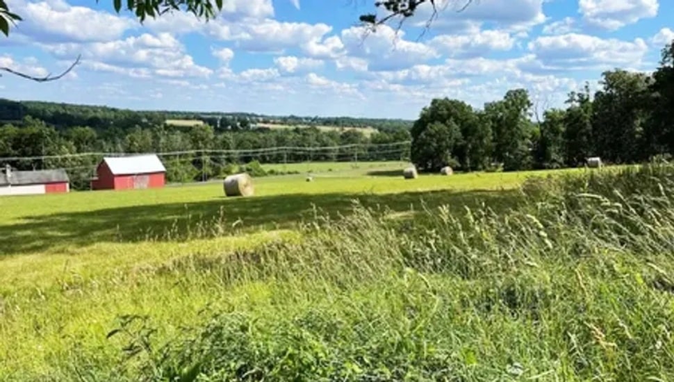 Farmland on Curly Hill Road in Doylestown