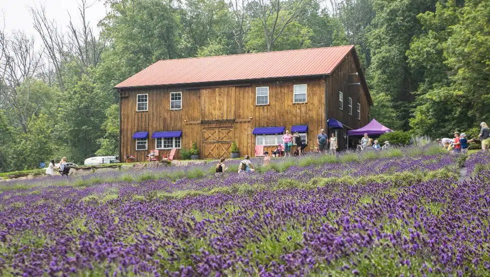 Bucks County Events Happening This Weekend, From Doylestown Pride to Hidden Gem Hikes