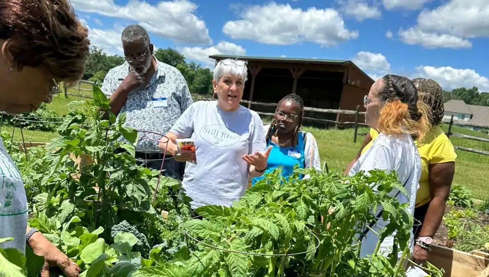 Perkasie’s Still Rise Farms Blends Food, Wellness, and Community Ahead of Juneteenth Event